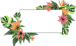 Best Gardens – Luxe Veranda’s & Overkappingen op Maat Logo